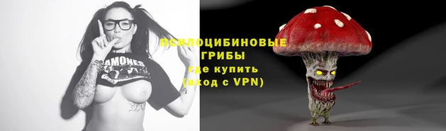 мет Аркадак